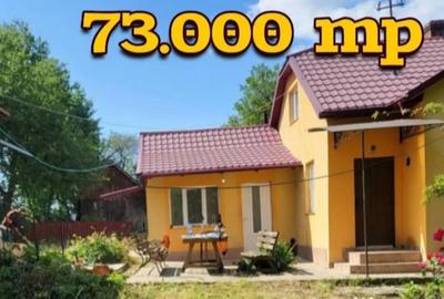 Casă cu 6 camere în Central - 8