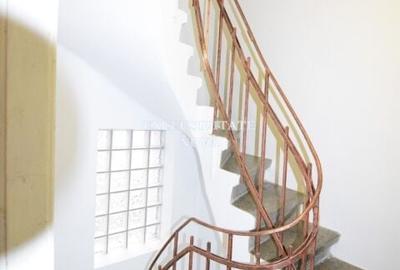 Vila individuala interbelica curte garaj intre Dacia si Stefan cel Mare - 15