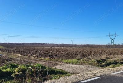 Teren de 10614 mp, în Mareș - 3