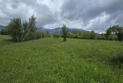 Teren în Prundu Bârgăului - 1