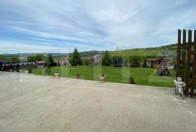 Spațiu comercial, de 600 mp, în Crișeni - 7