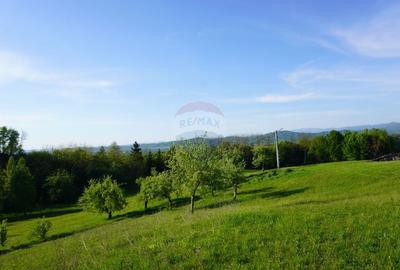 Teren Construcții intravilan de 38592 mp, în Sud-Vest - 2