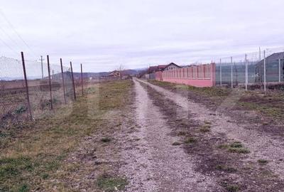 Teren de 1062 mp, în Hărman - 8