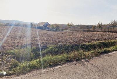 Teren de 4200 mp, în Central - 3