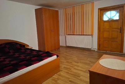 Casă cu Teren 800 Mp în Lepșa - 3
