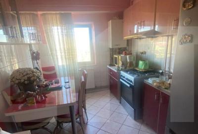 Apartament cu 2 camere, zona Dambovita - 5