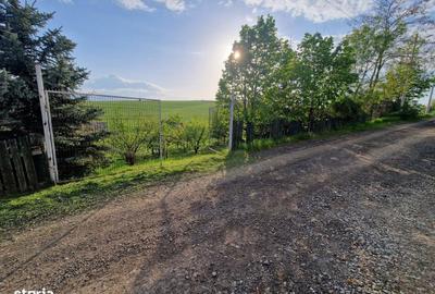 Teren de 1250 mp, în Șura Mare - 10