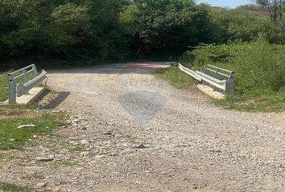 Teren de vanzare 8,700 mp Tarlungeni, comision 0 cumparator Teren de vanzare 8,700 mp Tarlungeni, comision 0 cumparator - 2