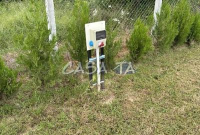 Teren Construcții intravilan de 5000 mp, în Lelești - 9