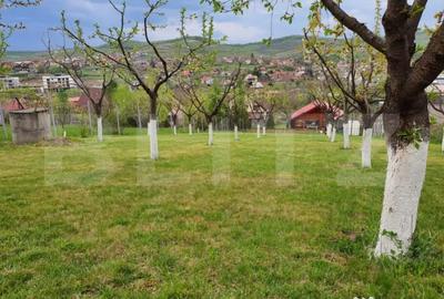 Casă cu 1 camere cu Teren 1824 Mp în Livezeni - 1