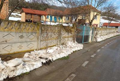 Casă cu 2 camere în Henig - 2