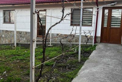 Casă cu 3 camere în Mihail Kogălniceanu - 2