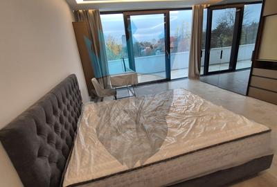 Penthouse 4 Camere Kiseleff Bucuresti - 25