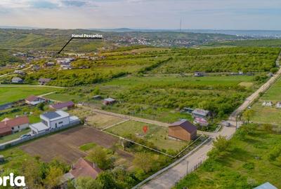 Teren de 981 mp, în Paleu - 6