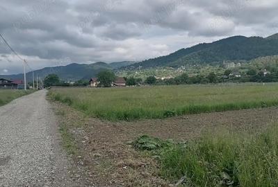 Teren de 3000 mp, în Central - 3