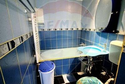 Apartament 2 camere Soseaua Salaj Parc Humulesti Rahova - 10