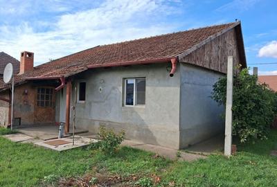 Casă cu 2 camere în Iratoșu - 12