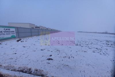 Teren Domnesti de vanzare - 1