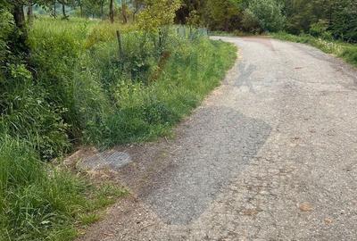 Spațiu comercial, în Copalnic - 4