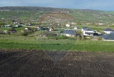 Teren agricol extravilan de 658 mp, în Nord - 11