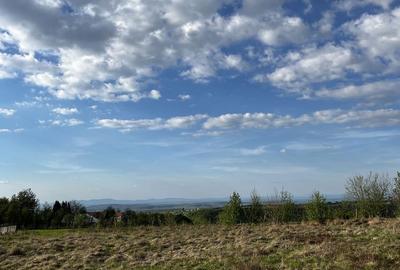 Spațiu comercial, în Dealu Mare - 3