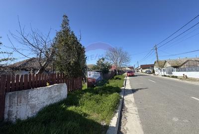 Teren Construcții intravilan de 2098 mp, în Lumina - 3