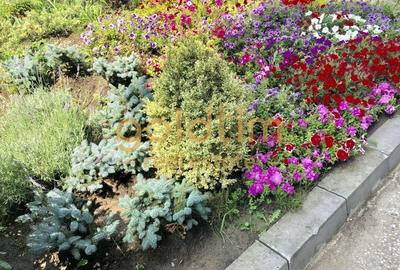 Apartament cu 3 camere semidecomandat, mobilat în Pipera - 18