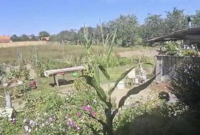 Vand casa in comuna Racovi?a Timis - 8