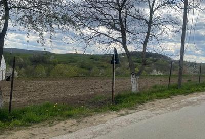 Casă cu Teren 5200 Mp în Pârteștii de Jos - 4