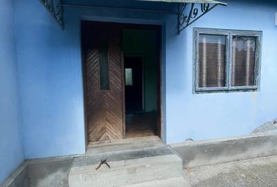 Casa de Vanzare Peciu Nou - 2