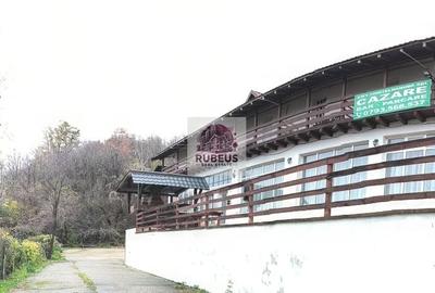 Proprietate langa Dunare – 3000 mp, priveliste si potential business - 1