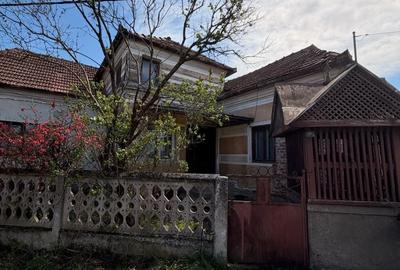 Casă cu 3 camere cu Teren 3000 Mp în Gothatea - 3