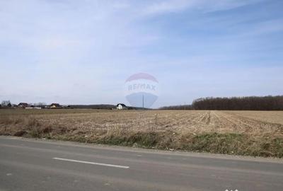 Teren în Central - 2