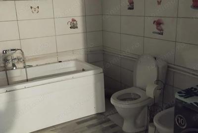 Casă cu 4 camere cu Teren 740 Mp în Pișchia - 4