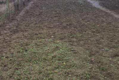 Casă în Zona Industrială - 5