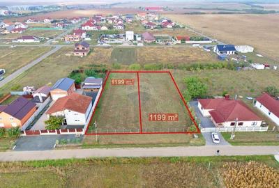 Teren 2,398mp loc. Frumuseni, jud. Arad - 1