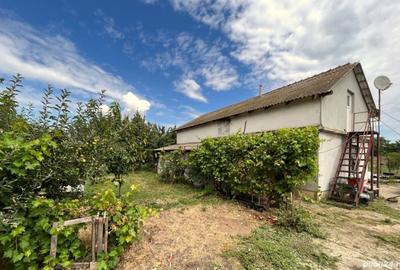 Casă cu 4 camere în Zădăreni - 6