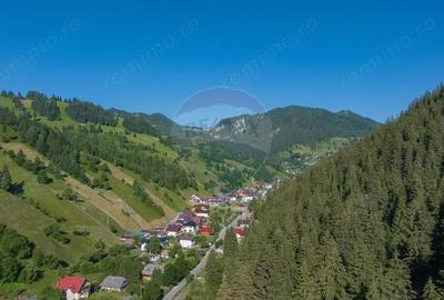 Casă cu 5 camere cu Teren 4200 Mp în Moieciu - 3