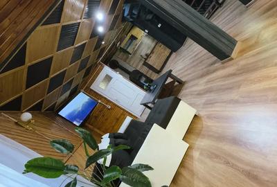 Casa de vacan?a renovata de vanzare in Vlahi?a - 2