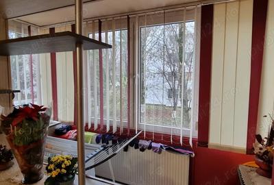 De vanzare apartament recent renovat si amenajat, cu 2 camere in Cartierul Dambu pe Str Ion Buteanu, - 3