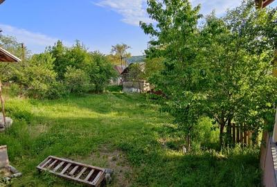 Casa+ casa batraneasca Surupate(Comuna Francesti, Valcea) - 6
