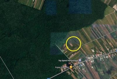 Teren Construcții intravilan de 1000 mp, în Vest - 2