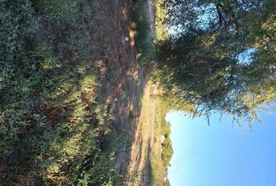 Casă cu 2 camere cu Teren 1918 Mp în Școlilor - 3