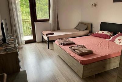 Apartament cu 2 camere decomandat în Ștrand - 1