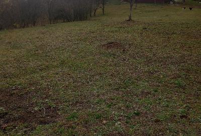 Teren Construcții intravilan de 4062 mp, în Cătunu (Drajna) - 7