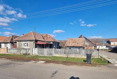 Casă cu 2 camere în Dăbâca - 5