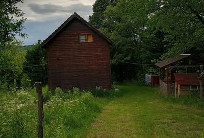 Casă cu 2 camere cu Teren 5500 Mp în Sibișel (Beriu) - 3