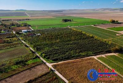Teren de 44999 mp, în Sabangia - 11