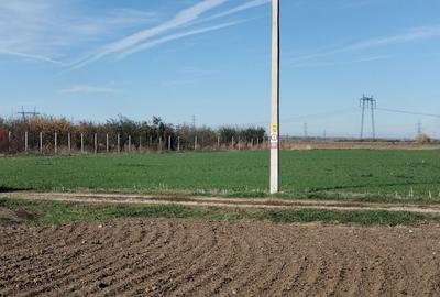 Spațiu comercial, în Proaspeți - 2