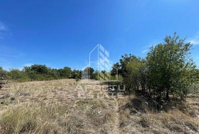 Casa cu teren 3407 mp, la asfalt, Seceani, 26 km de Timis... - 7